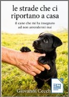 Copertina Le strade che ci riportano a casa