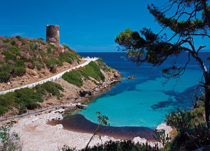 Isola di Asinara