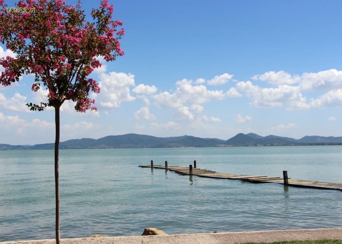 Lago trasimeno